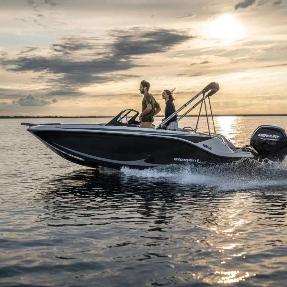 Bayliner Element M17