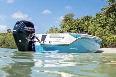 2026 Bayliner Element M17 | 5m 3