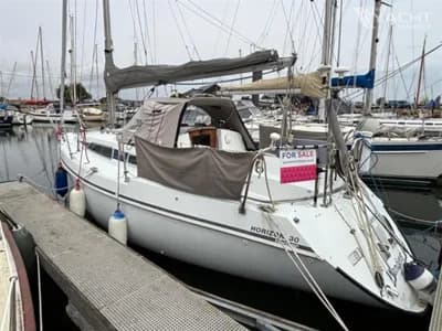 Hunter Horizon 30 2