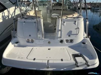 Campion Allante 825 Mid Cabin 2