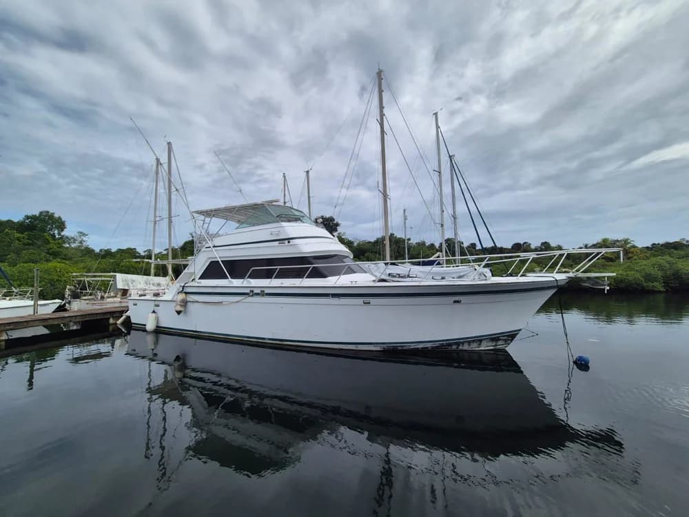 1979 Bertram 58 Flybridge Motor Yacht | 58 ft