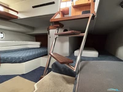 Targa 30 3