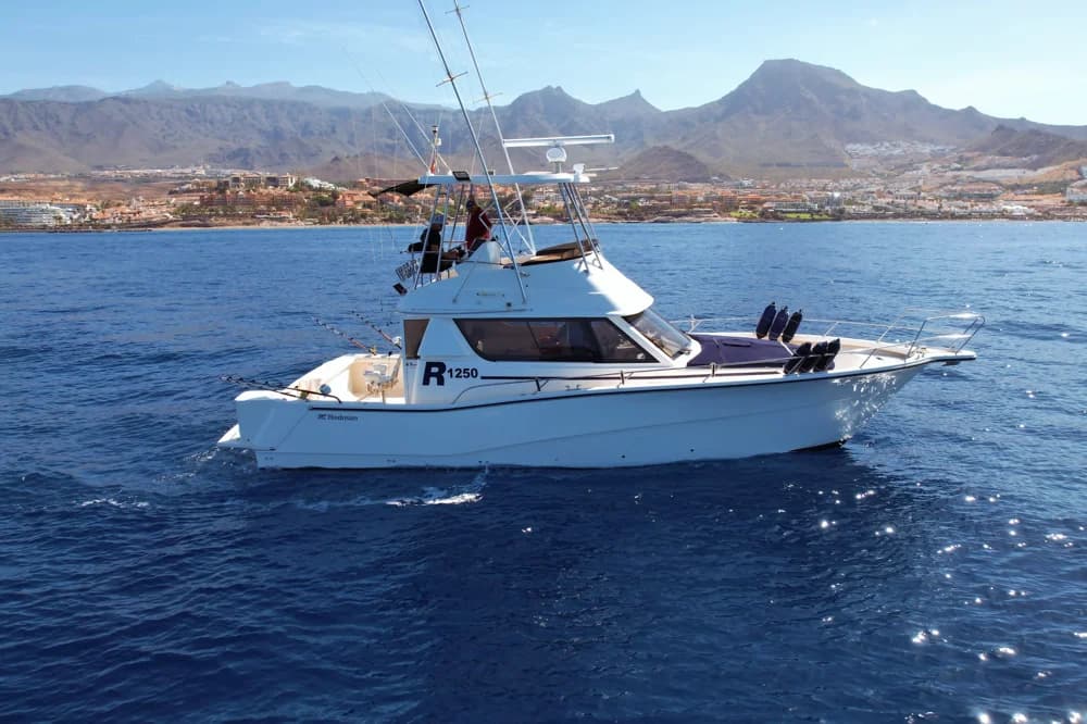 2006 Rodman walkaround FB sportfish | 40 ft