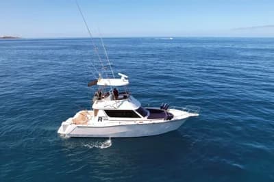 2006 Rodman walkaround FB sportfish | 40 ft 2