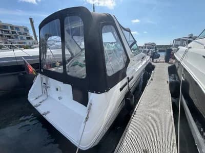 Sea Ray 290 Sundancer 5