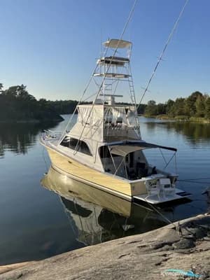 Ocean 48 Sport Fish 2