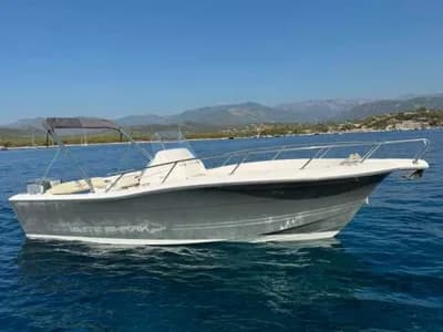 WHITE SHARK 226 2