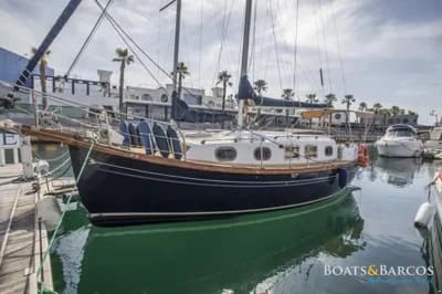 Myabca Delfin 31 2