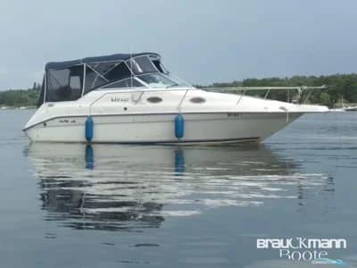 Sea Ray 250 DA 2