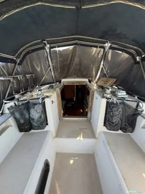Island Packet 35 3