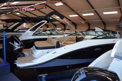 Sea Ray SPX 210 Outboard 2