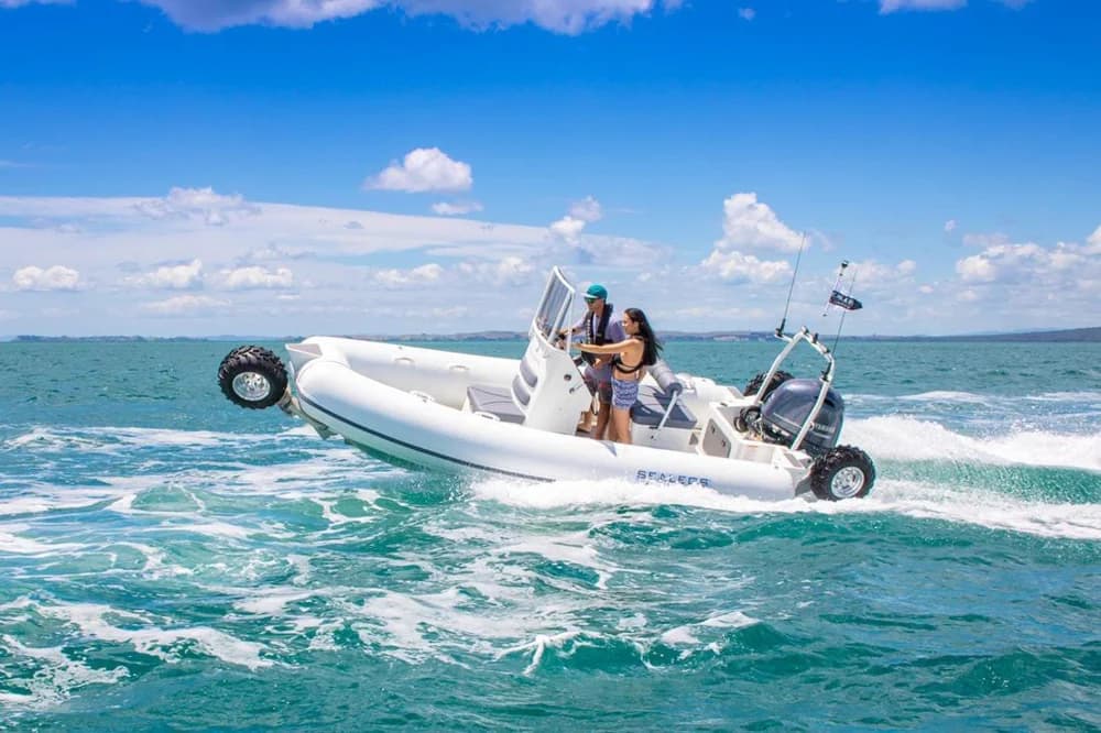 Sealegs 6.1M SPORT RIB