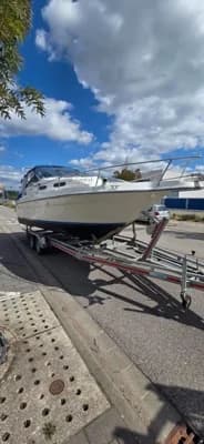 Sea Ray 250 EXPRESS CRUISER 2