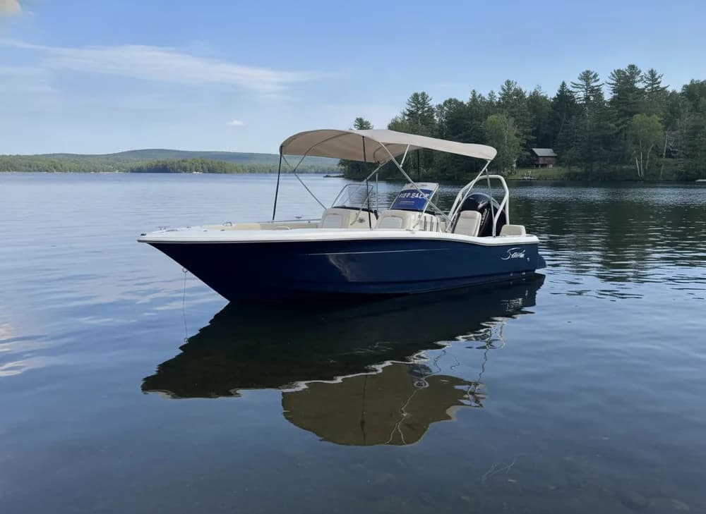 Scout 195 Sport Dorado
