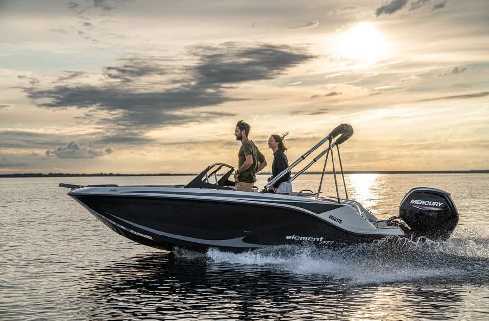Bayliner Element M17