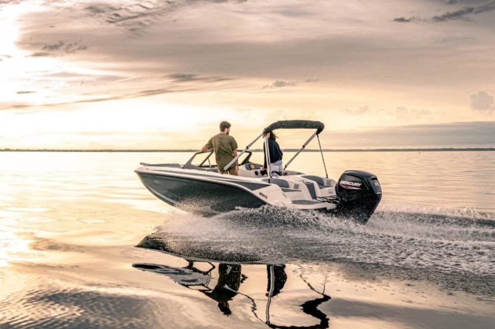 Bayliner Element M17