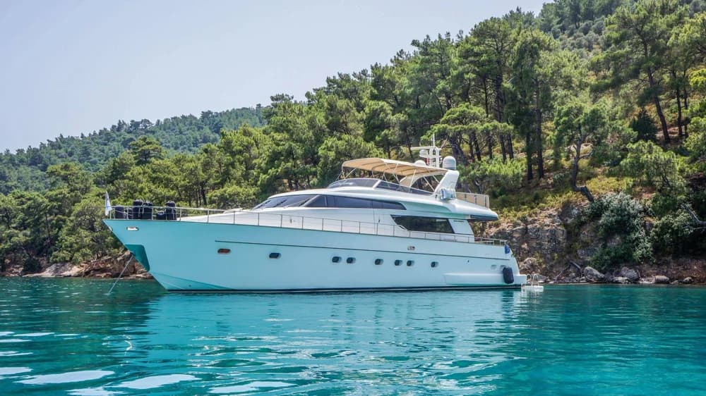 SAN LORENZO 72
