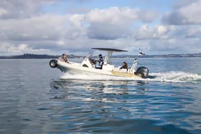 Sealegs 7.5 m Hydrasol rib 2