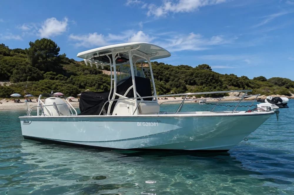 Boston Whaler 210 Montauk