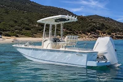 Boston Whaler 210 Montauk 2