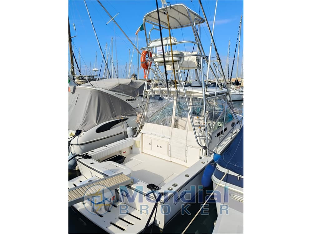 Carolina Classic - 28 Express Tuna Full