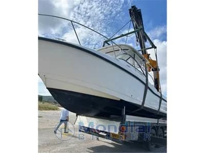 Boston Whaler - 305 2