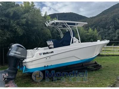 Wellcraft Marine - 222 2