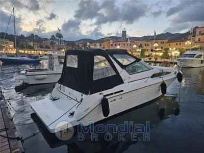 Sea Ray Boats - Sundancer 290 3