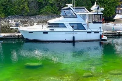 1989 Carver 42 Aft Cabin Motor Yacht | 42 ft 2