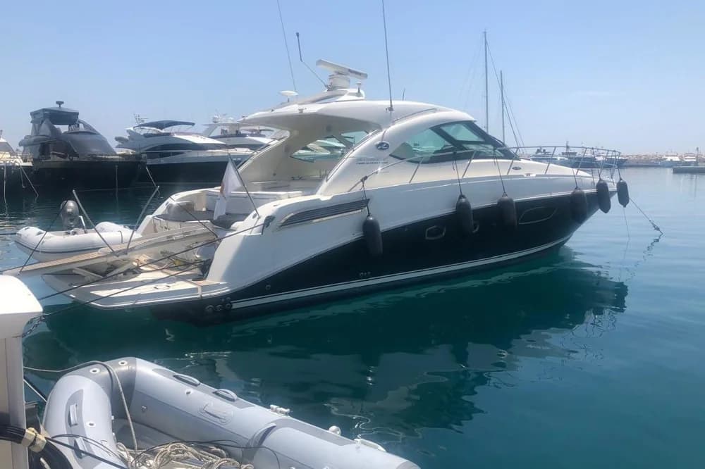 2009 Sea Ray 310 Amberjack | 43.3 ft