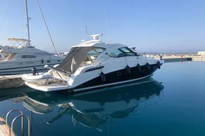 2009 Sea Ray 310 Amberjack | 43.3 ft 3