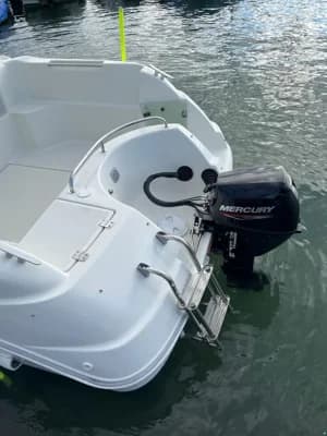 Quicksilver 530 Timonier 3