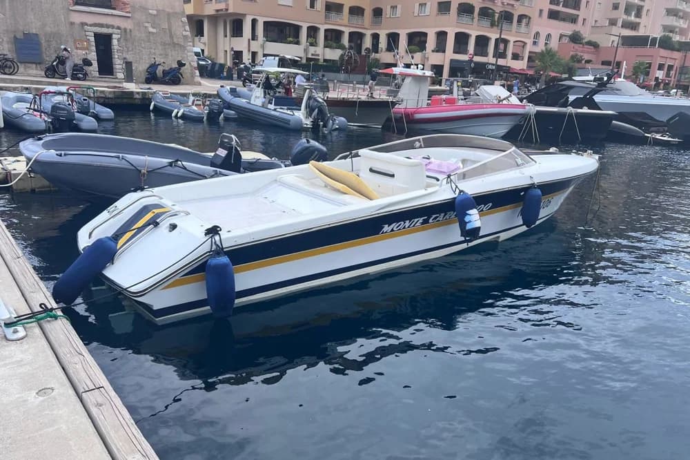 1995 Monte Carlo MC 300 | 29.3 ft