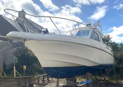 Eider Marine 8500 Sea Rover 2