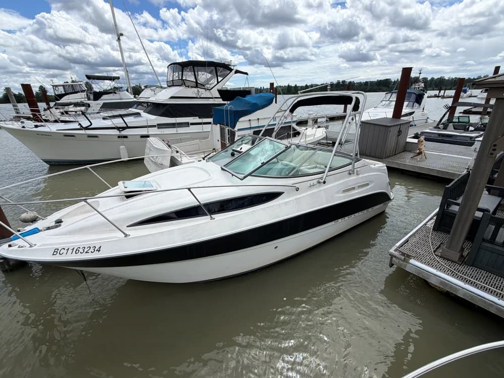Bayliner 245