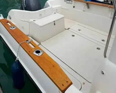 2007 Quicksilver 640 Pilothouse Boat for Sale in Newhaven 3