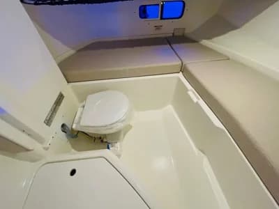 Sea Ray 250 SDX 5