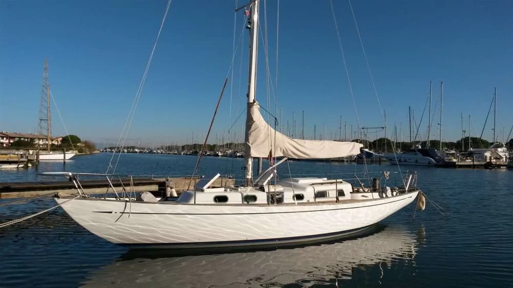 ALPA 11