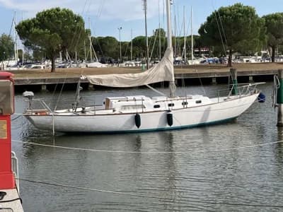 ALPA 11 2