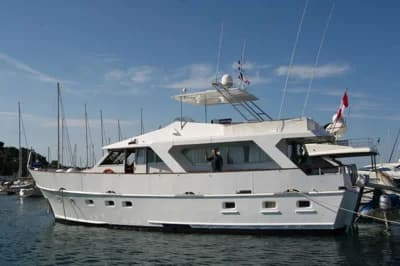 Dagless Fleur DE LYS 56 2