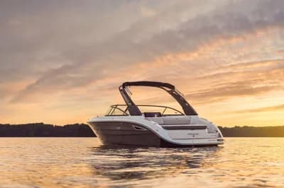 Sea Ray SDX 250 4