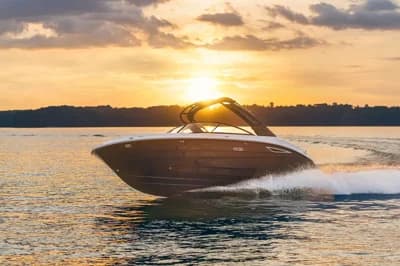 Sea Ray SDX 250 5