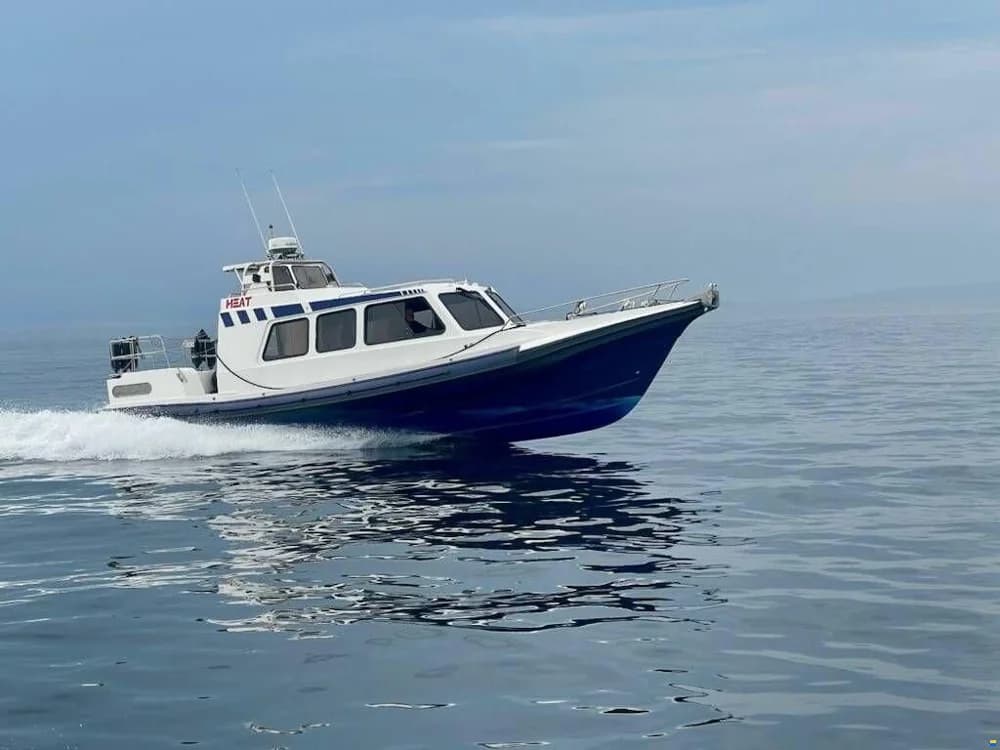 Redbay Stormforce 11