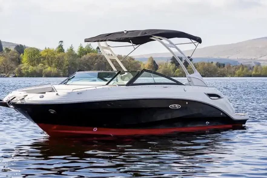 Sea Ray SDX 250