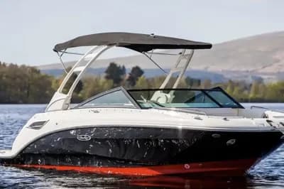 Sea Ray SDX 250 2