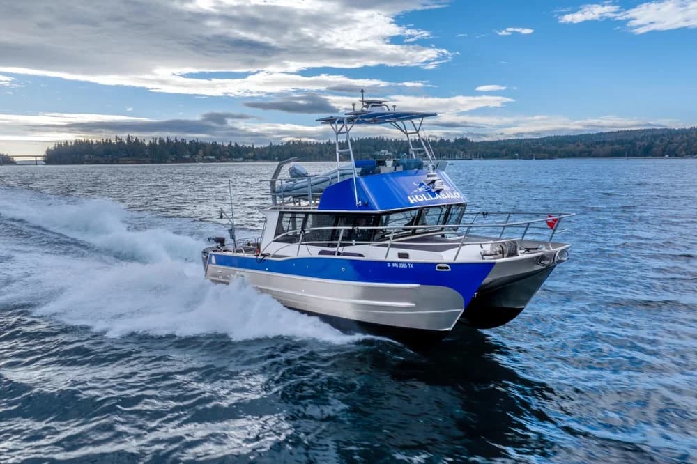 ACI Lumacat 38