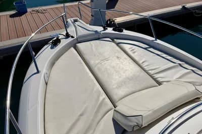 White Shark 228 2