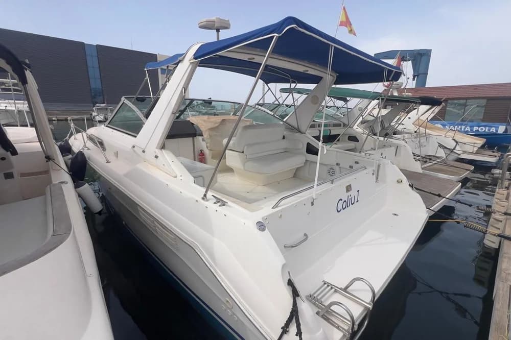 Sea Ray 310 Express Cruiser