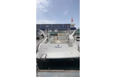 Sea Ray 310 Express Cruiser 2
