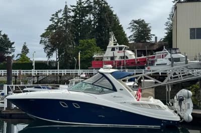 Sea Ray Sundancer 310 2